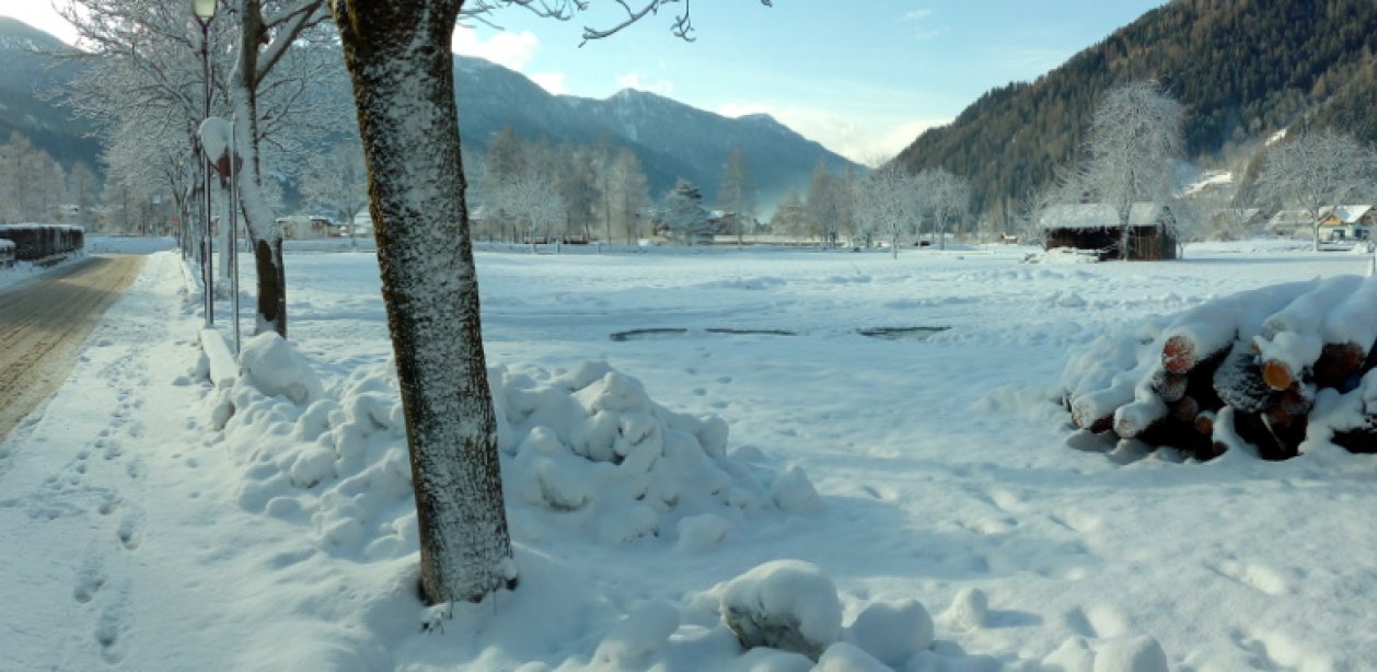 Italija, Val Rendena, ORSO GRIGIO